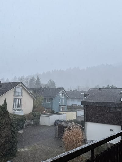 The image captures a residential area in Kirchzarten, Germany, during a light snowfall. The vantage point is elevated, overlooking multiple houses and their surrounding properties under a uniformly overcast, light grey sky. Fine streaks of snow are visible, indicating active precipitation.
In the background, a dense coniferous forest covers a hillside, partially obscured by the falling snow and atmospheric haze. The midground features several two-story houses with dark gabled roofs. To the left, a light beige house has a balcony with metallic railings on the upper floor and a glass-enclosed structure on the lower front. Behind it, a blue-grey house with white window frames and a distinctive triangular window in its gable is visible. On the right, part of a building with a dark, possibly wood-paneled, upper facade and a white lower section displaying the number "154" is present.
Below the houses, various single-story outbuildings, including white, yellow, and wooden garages or sheds, are situated. A dark-colored vehicle is parked near one of the wooden sheds. Vegetation includes evergreen hedges, bare deciduous trees, and a prominent clump of tall, dried ornamental grass with light brown plumes in the center-right. The ground surfaces, consisting of pavement and bare earth, appear wet and are lightly dusted with snow. A dark wooden railing, partially covered with a thin layer of snow, extends across the lower right foreground. No individuals or animals are depicted in the scene.
