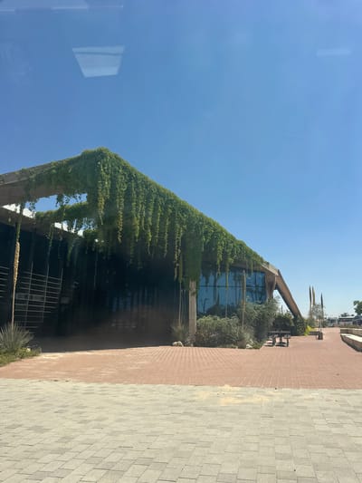 The image shows a modern building with a slanted, vine-covered roof. The building has large glass windows and a dark facade. In front of the building, there is a paved walkway with red and gray brick patterns. There are some plants and trees around the building, and a picnic table is visible in the distance. The sky is clear blue. The scene is located in Yerocham, Israel.