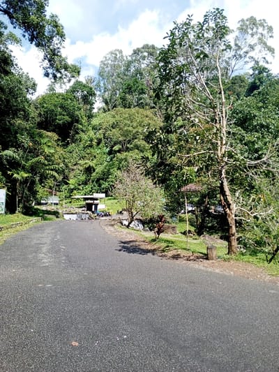 This image captures a paved asphalt road in Hinabangan, Philippines, leading towards a densely vegetated area under a partly cloudy sky. The dark gray road, showing minor debris, extends from the foreground and curves gently to the right, ending at a small complex in the midground. A small, light-colored concrete building with a flat roof is situated centrally at the road's end. In front of this building, water cascades over a low, man-made barrier. Two motorcycles, one appearing blue and one darker, are parked to the immediate right of the building near the water feature. To the left of the road, a partially visible white information sign with a green border is present amidst dense green foliage. The roadside edges feature grass and various tropical plants and trees, including a prominent, medium-sized tree with light bark on the right. The background is dominated by a lush, multi-layered tropical forest covering rising terrain under a blue sky with scattered white clouds. No individuals are present in the scene.
