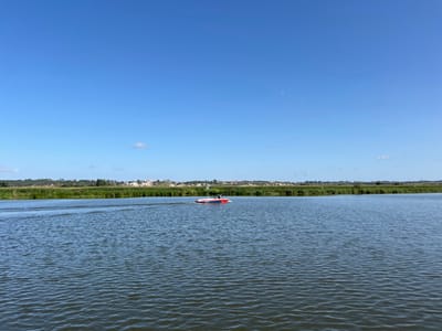 The scene captures a daytime view of a body of water in Coruche, Portugal. In the middle-ground, a red and light-colored small recreational boat traverses the water from right to left, creating a visible wake. A single, indistinct individual is seated within the boat, seemingly operating it. The water surface is textured with ripples. The far bank is densely bordered by green vegetation, appearing as tall grasses or crops. Beyond this foliage, a collection of light-colored buildings, indicating a distant settlement, is visible on the horizon. The sky is clear and bright blue, largely devoid of clouds.