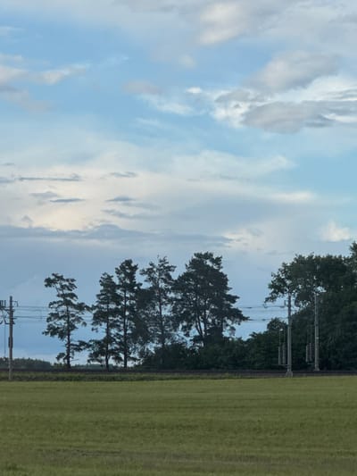 This image captures a pastoral scene with a focus on the natural landscape and infrastructure. In the foreground, a vast, flat field of green grass stretches across the frame, suggesting a rural or agricultural setting. Behind the field, a railway track runs horizontally, bordered by a line of trees, predominantly tall pines with distinctive silhouettes. These trees stand against a backdrop of a sky filled with scattered clouds. The clouds vary in density and shade, with some appearing wispy and light blue, while others are thicker and tinged with grey, indicating a potentially dynamic weather system.
Several man-made elements are visible, integrated into the landscape. On the left side of the image, a utility pole with electrical wires stretches upwards, hinting at the presence of power transmission. Further to the right, another set of utility poles, more elaborate with multiple structures, are positioned near the treeline, also supporting electrical infrastructure. These elements indicate that while the scene is predominantly natural, it is also a functional area with modern utilities. The overall impression is one of a quiet, possibly slightly overcast day in a rural area, where nature and human infrastructure coexist. The specific location is identified as the village of Balshavicki rural council, Belarus.