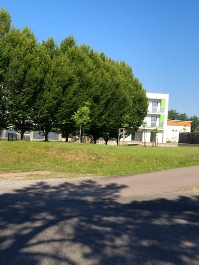 The image depicts a modern building with white and green facades, featuring balconies and large windows, located in Písek, Czechia. The building is situated amidst lush green trees, with a well-maintained lawn in front. A paved road runs along the foreground, casting dappled shadows from the trees onto its surface. The sky is a clear, vibrant blue, indicating a sunny day. The scene appears to be a residential or office complex, possibly part of a new development in the city. There are no people visible in the image.