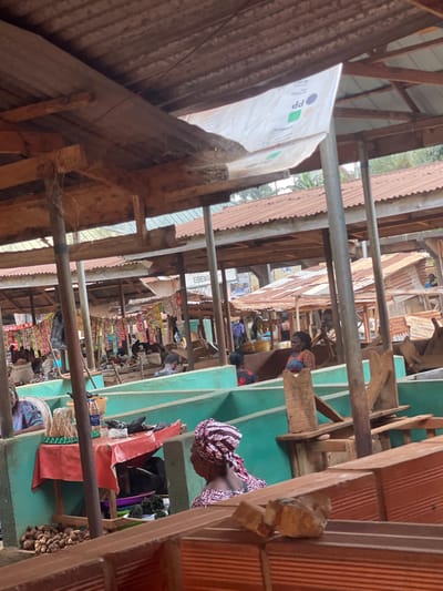 This image captures an open-air market in Neni, Nigeria. The scene is characterized by numerous market stalls constructed with wooden beams, metal posts, and corrugated metal roofs, some exhibiting rust. In the foreground, a teal-painted concrete barrier separates the viewer's perspective from a section of the market. A woman is partially visible on the right, seen from behind, wearing a patterned headscarf and garment. To her left, a market stall features a table draped with a red cloth displaying small dark leafy vegetables, a plastic water bottle, and other items. Below the table, brown root vegetables are arranged on the ground. Further into the midground and background, additional market stalls are visible, some with various packaged goods hanging. Multiple individuals are present throughout the market area, including women in patterned clothing, observed sitting and standing. A white tarp printed with "pp CHEMICAL" and "EBEKU" is affixed to an overhead structure. Additional "EBEKU" signage appears on a building in the background. The lighting suggests daytime conditions.