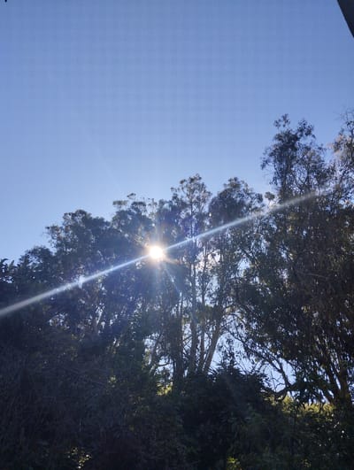 In Arucas, Spain, the image captures a bright, sunny day with a clear blue sky dominating the upper portion. Sunlight streams intensely through a canopy of lush green trees, creating a lens flare effect that beams across the frame from left to right. The trees, dense and varied in foliage, occupy the lower and middle sections of the image, obscuring much of the ground. Their branches and leaves are silhouetted against the bright sky and sun. No people or animals are visible in the scene. The overall impression is of a natural outdoor environment bathed in strong daylight.