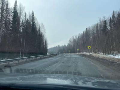 This image, captured in Laiga, Russia, displays a two-lane asphalt road traversing a dense, mixed forest under an overcast sky. The perspective is from inside a vehicle, looking forward through a windshield that exhibits reflections and minor surface moisture. The road surface is wet, appearing worn with visible cracks and uneven patches. A silver metal guardrail runs along the left side of the roadway. Both sides of the road are flanked by a thick forest composed of dark coniferous trees and bare deciduous trees, including identifiable birches. Patches of dirty, melting snow and slush are present along the road shoulders and within the forest floor. Multiple yellow square road signs featuring black chevron arrows pointing left are visible on the right side of the road, signaling an upcoming curve; a single similar sign is also visible on the left. No individuals or additional vehicles are present in the scene.
