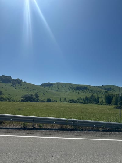 This is a daytime, exterior, eye-level shot of a rural landscape. The sky is clear and blue, with the sun high and bright in the upper left corner, casting rays. The foreground shows a grey asphalt road with a white line, bordered by a silver guardrail. Beyond the guardrail, a green field of tall grass stretches towards rolling, verdant hills dotted with trees. The hills are covered in lush green vegetation and scattered trees, with a few trees forming denser clusters. The overall scene depicts a natural, undeveloped area under bright sunlight, likely in or near Aya, Russia, given the reference to the city. There are no people or discernible actions in the image.