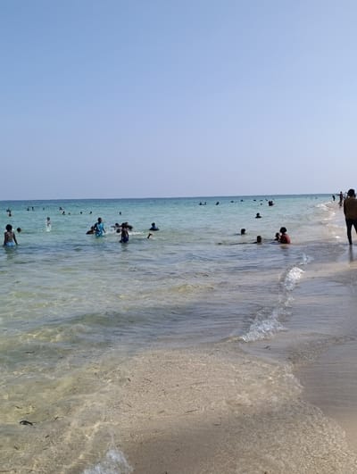 A daylight scene at a beach in Makadara/Mji Wa Kale ward, Kenya, shows approximately 20-30 individuals engaged in water activities. The upper third of the image is a clear, light blue sky, meeting the ocean at a defined horizon. The ocean water is clear and light turquoise near the sandy shore, gradually deepening to a darker blue further offshore. Numerous people are observed standing, wading, or swimming in the water, with depths ranging from ankle to chest level. Small waves crest onto the light brown sand beach, which appears wet at the water's edge and contains scattered dark organic material. On the far right, a partially visible individual in dark trousers and a light top stands on the wet sand, facing away from the viewer. No other distinct objects or specific interactions are visible.