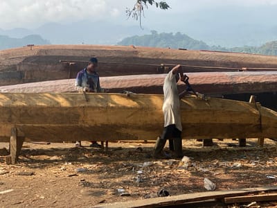 This image depicts an outdoor boat construction or repair yard, likely in Victoria, Cameroon, given the context. Two men are actively engaged in working on large wooden boats under a clear sky.
In the foreground, a man in a light-colored long-sleeved shirt and dark trousers/boots stands on the right side of a prominent, unfinished wooden boat. He is positioned sideways, facing right, and appears to be using a hand tool, possibly an adze, to shape or refine the hull of the boat. This boat is made of light-colored wood, elevated on wooden supports, and displays visible markings and fastenings along its plank seams.
Further back and to the left, another man wearing a blue and white patterned shirt is partially visible, also seemingly working on one of the boats. Behind the foreground vessel, two additional, larger wooden boats are stacked or laid out. These boats appear to be in various stages of completion, with darker, more weathered exteriors than the one in the foreground, and similar visible construction details.
The ground beneath the boats is covered in wood shavings, sawdust, and small pieces of discarded wood, indicative of active carpentry. Some scattered trash, including plastic bags, is also visible. In the background, rolling hills or mountains rise, partly obscured by a light atmospheric haze, providing a scenic and geographical context.
The scene is brightly lit by natural sunlight, suggesting it is daytime, possibly morning or late afternoon, creating soft shadows. The overall impression is one of dedicated manual labor and traditional craftsmanship in a rugged, natural setting. There is no visible text in the image.