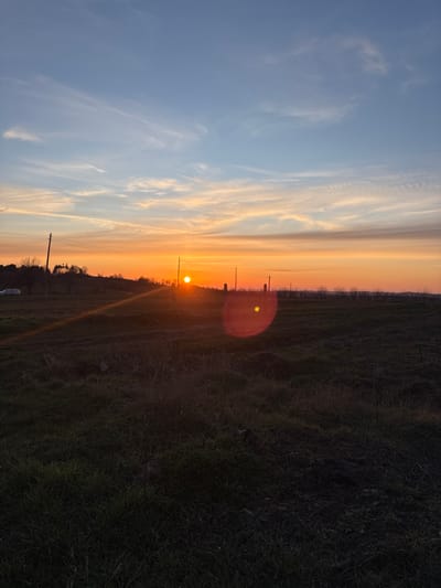 The image depicts a rural or semi-rural landscape at sunset, situated in Poroino, Bulgaria. The sky occupies the upper half of the frame, transitioning from a pale blue at the zenith to vibrant orange and yellow hues at the horizon. Wispy, elongated clouds are scattered across the blue sky. The sun, a prominent bright orange disc, is positioned low on the horizon, slightly left of center, casting a strong backlight across the scene. A red-orange circular lens flare is visible to the right of the sun, accompanied by a horizontal light streak extending leftward from the sun. The foreground consists of an uncultivated field of dark green and brown grass, occupying the lower half of the image. In the midground, several wooden utility poles with discernible wires stand silhouetted against the setting sun, extending from the left to the right side of the frame. On the left side of the midground, rolling hills are visible in the distance, partially obscuring the base of the utility poles, with faint silhouettes of trees and a white structure. A white vehicle is barely discernible behind the leftmost utility pole. No individuals or specific actions are visible within the frame.