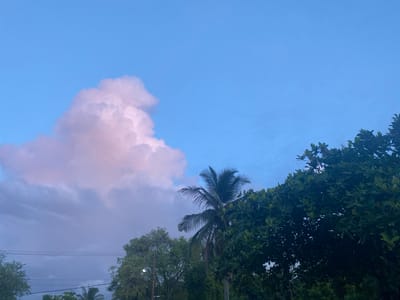 The image depicts a twilight scene in Aneuk Paya, Indonesia, characterized by a clear blue sky transitioning to softer hues with scattered clouds, some tinged with pink and purple. A large, fluffy cumulus cloud dominates the upper left portion of the frame. In the foreground, lush green trees with dense foliage are visible, with a prominent coconut palm tree standing tall in the middle ground. Several utility wires are strung horizontally across the lower part of the image, suggesting the presence of infrastructure within the vicinity. The overall atmosphere is serene and natural, hinting at a tropical environment. There are no people or specific actions or interactions visible in the image.