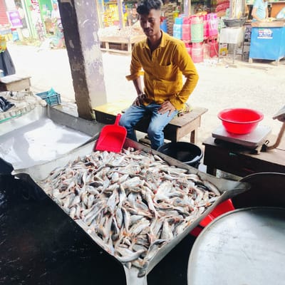 The image captures a fish market scene in Unknown, Bangladesh. A young man with short, dark hair sits on a wooden stool, wearing a yellow shirt and blue jeans. He appears to be overseeing a large square container overflowing with small, silver-colored fish. A red plastic scoop rests atop the pile of fish. Next to the container is a black bucket, and a red plastic bowl sits on a weighing scale. In the background, there are stacks of colorful containers and various market stalls. The environment suggests a bustling marketplace with concrete flooring and a mix of permanent and temporary structures.