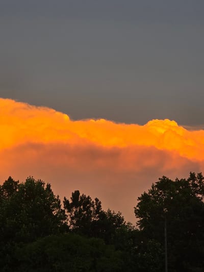 The image depicts a dramatic sunset scene featuring a dense band of vibrant orange clouds that appears to stretch across the horizon. These illuminated clouds are set against a gradient sky, transitioning from a dark gray at the top to a softer, warmer hue closer to the horizon. Silhouetted against the sky and the lower portion of the clouds are the dark outlines of numerous trees, forming a dense forest canopy that occupies the bottom third of the frame. The trees vary in shape and density, with some appearing more pointed, possibly pine trees, while others are rounded and leafy. A single, dark, thin pole, likely a streetlamp or utility pole, is visible rising vertically from the tree line on the right side of the image. The overall impression is a natural landscape at dusk, with the intense colors of the sunset dominating the sky.