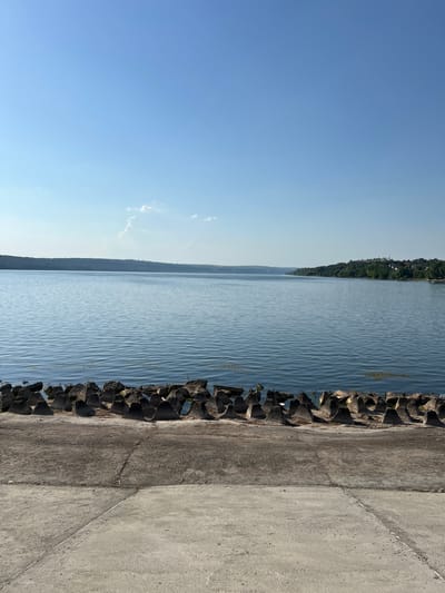 The image depicts a calm, wide body of water, likely a river or a large lake, under a clear blue sky with a few wispy clouds. In the foreground, there is a concrete embankment followed by a line of rough, angular concrete barriers, possibly for erosion control or breakwaters. The water exhibits gentle ripples and reflects the sky. On the opposite shore, a tree-lined hillside is visible, with some buildings and structures forming a small settlement nestled among the trees on the right side of the frame. The overall scene conveys a serene, natural environment with man-made elements at the water's edge. The location is the Nistru River in Korzhevo, Moldova.