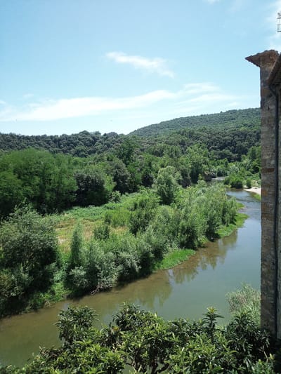 A high-angle, wide shot captures a serene landscape from a stone building overlooking a river and lush greenery in Besalú, Spain. The sky above is a light blue with scattered wispy clouds. The foreground is dominated by the textured stone wall of the building on the right and dense, dark green foliage from trees in the lower portion of the frame. A winding river with greenish water flows from the middle-ground into the foreground, its banks lined with various shades of green vegetation, including trees and bushes. In the distance, rolling hills covered in dense, dark green trees form a backdrop, with a few scattered buildings visible on the ridge. The overall impression is one of natural beauty and tranquility, with a hint of architectural presence from the stone structure. There are no people or animals visible in the scene.