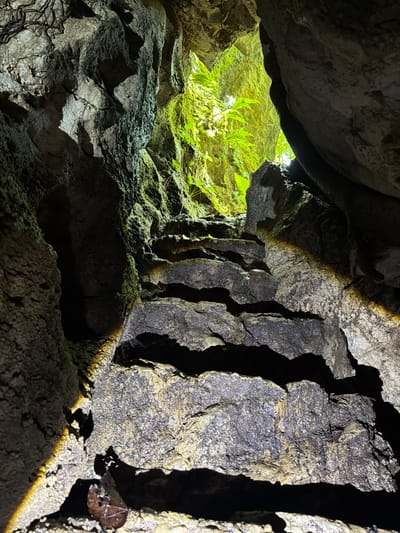 The image depicts the interior of a cave. Light enters from an opening on the left, illuminating some green plants. The rock formations are gray and textured. There are no people visible. No information given allows me to confirm if this is located in the city of Santa Monica, Philippines.