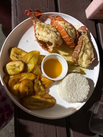 The image displays a white oval dining plate positioned on a dark brown wooden surface. The plate contains a meal consisting of three cooked lobster tails, split lengthwise with exposed white meat, arranged across the upper right portion. A pile of golden-brown fried plantain slices occupies the left side of the plate. In the lower right quadrant, a small mound of white rice is present. Centrally located between the lobster and plantains is a small white ramekin filled with a yellow-orange sauce. A single lime wedge is visible near the lobster and rice. To the upper right of the plate, partially visible, is a clear container labeled "Himalayan Salt" with pink contents. A dark shadow indicating overhead lighting is cast across the table and parts of the plate. The precise location within Roatán, Honduras, is not discernible from the image content, beyond a general dining environment. No people are visible; the image focuses solely on the food and immediate table setting.
