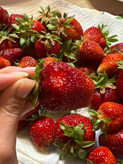 A close-up, slightly overhead shot shows a pile of ripe strawberries on a white paper towel. The strawberries are a deep red, with visible seeds and green stems. One of the strawberries in the foreground is being held by a person's hand, which is only partially visible. The background is blurred, but appears to be a neutral surface. There is no discernible information about the location in Satino-Russkoe, Russia.