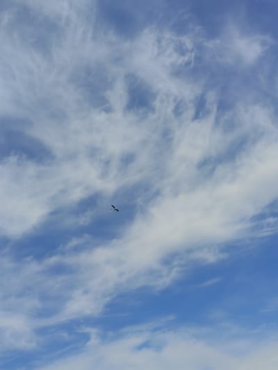 The image shows a bright blue sky with streaks of white, cirrus clouds. A small airplane is visible in the center of the frame. The location is not identifiable.