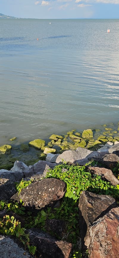 The image depicts a rocky shoreline with lush green vegetation growing amongst the stones. In the background, a wide expanse of calm water stretches towards the horizon under a partly cloudy sky. Two buoys are visible in the water, one orange and round, and another rectangular with red and white markings. The scene is likely Balatongyörök, Hungary, given the characteristic appearance of Lake Balaton's shore.