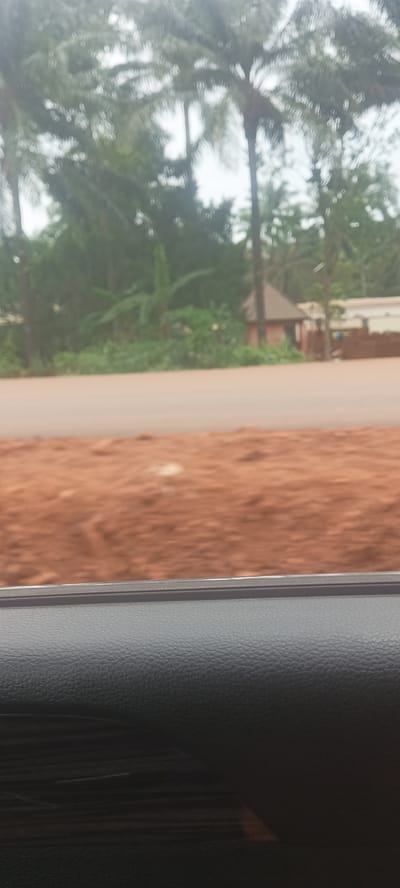 The image, taken from inside a vehicle, depicts an outdoor scene in Oto, Nigeria. The foreground shows the interior of the vehicle, specifically a textured, dark gray panel, possibly a door component. Through the window, a view of the roadside is visible. There is a brown, dirt shoulder area followed by a light-colored asphalt road. Beyond the road, dense green vegetation is present, featuring palm trees and other tropical foliage. Several buildings are partially visible among the trees. The sky is overcast. No people are clearly visible.