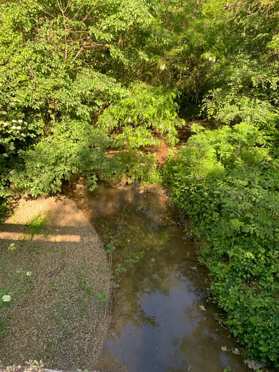 The image depicts a view from above of a stream flowing through lush vegetation, likely located in Goliam Dol, Bulgaria. The water is murky brown in some areas and darker reflecting the sky in others. The stream is bordered by dense green foliage, bushes and trees. A gravelly bank is on the lower right. A vertical shadow falls on the gravel area. White flowers are visible in the lower left among the greenery. There are no visible people, objects, actions, or interactions in the frame, apart from the natural flow of the stream and the growth of the vegetation.