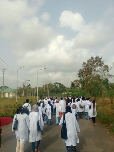 The image depicts a large group of approximately 30 to 40 individuals walking away from the camera on a paved asphalt road in Alabata, Nigeria. Most individuals are wearing white lab coats or similar long white overgarments; some wear head coverings and carry bags. The road extends into the distance under an overcast sky with numerous grey and white clouds. To the left of the road, a grassy shoulder borders a small light-green utility building with a white roof. Beyond this building, a series of wooden utility poles with multiple power lines run parallel to the road, interspersed with modern streetlights featuring flat, upward-curving fixtures. The right side of the road also features a grassy shoulder, transitioning into dense green vegetation and a prominent tree with reddish-brown leaves in the mid-ground. The overall environment suggests an institutional or semi-rural setting.