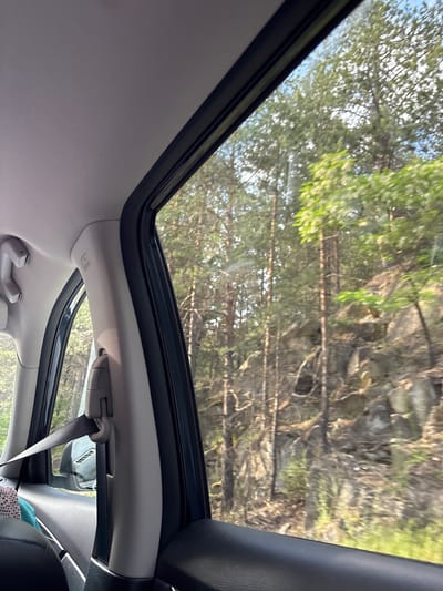 From within a vehicle, a sunroof view reveals a forest or dense woodland environment. The car is in motion. The location cannot be determined from the image.