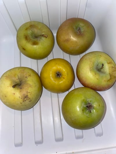 Six apples are depicted in an overhead view, resting on a white, ribbed surface, likely a refrigerator shelf or plastic tray, located in Abad Tukimachi, Uzbekistan. The apples display varying shades of green, yellow, and reddish blush, indicating different stages of ripeness or varieties. One apple, positioned centrally, is distinctly bright yellow. Several apples exhibit minor brown blemishes or irregularities on their skin. Stems are visible on multiple apples. No individuals are present. No actions or interactions are occurring. The lighting suggests an indoor environment.