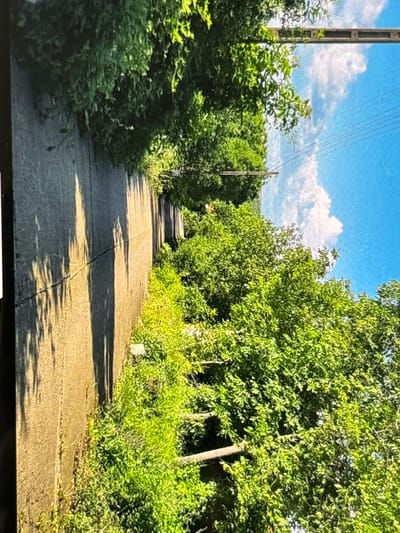 A sun-drenched, narrow paved path, likely concrete, winds through a verdant landscape, receding into the distance. Lush green trees and dense undergrowth flank both sides of the path, forming a natural corridor. The foliage, vibrant with summer greens, casts intricate shadows across the path, indicating strong daylight.

In the upper left quadrant, a tall utility pole, possibly made of concrete, stands prominently, with multiple power lines stretching diagonally across the clear blue sky. Scattered white cumulus clouds drift gently in the azure expanse above the tree line. Another, thinner utility pole is partially visible further down the path on the right side.

The path itself shows signs of wear with visible cracks and some grass growing through its surface, suggesting it might be an older or less frequently trafficked route. The overall scene depicts a tranquil, overgrown lane, possibly in a rural or semi-rural area of Wolverhampton, United Kingdom, basking in bright daytime sunshine with no human activity present. There is no visible text in the image.