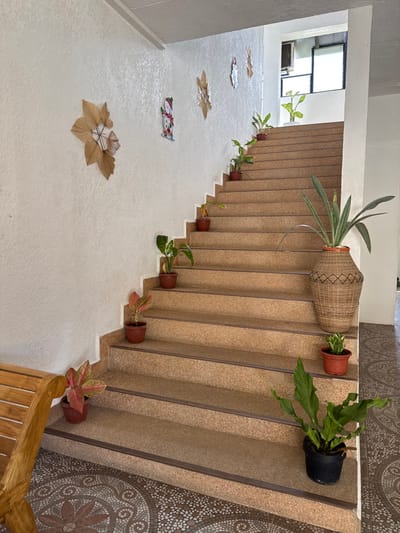 An interior staircase in Panglao, Philippines, ascends from the foreground towards the upper right. Approximately 16 steps are visible, featuring light brown, textured treads with dark nosing strips, and white risers. The left wall, textured white, displays three large, light-brown, leaf-shaped woven decorations and one colorful snowman ornament positioned between the lower two leaf shapes. Numerous potted plants, varying in species and pot color (primarily brown or black), are arranged along the steps, with one plant exhibiting red and green variegated leaves near the bottom. At the bottom right, a large, tall woven vase contains a plant with long, strap-like leaves, flanked by a smaller potted plant. A large green potted plant in a black pot rests on the mosaic-tiled floor, which features intricate brown, beige, and white patterns. A section of a light-colored wooden slatted bench is visible at the lower left. At the top of the stairs, a window with a dark frame reveals outdoor foliage and bright light, and an air conditioning unit is partially visible above the window frame. No individuals are present in the scene.