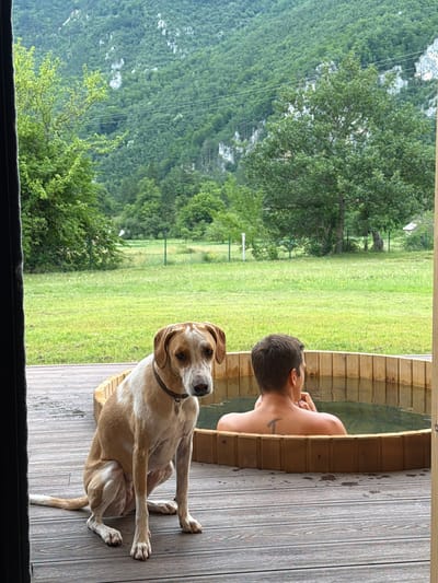 A medium-sized, tan and white dog sits on a wooden deck in front of a wooden hot tub. The dog is looking at the camera with a collar and a tag. A person is in the hot tub, facing away from the camera, with their back to the viewer. They have a tattoo on their upper back. The deck overlooks a grassy area with trees and a mountainous, forested landscape in the background. This scene appears to be in Bistrica, Montenegro.