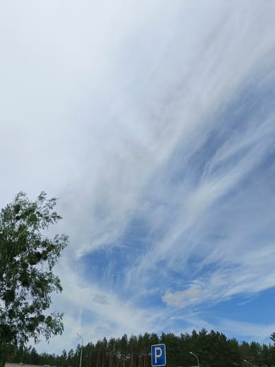This media file depicts an outdoor scene with a focus on the sky. The sky is vast and blue, with wispy white clouds streaked across it, suggesting a breezy or windy day. On the left side of the frame, the upper branches of a lush green tree are visible, its leaves rustling in the wind. In the background, a dense line of coniferous trees forms a dark green horizon. Below the trees, there are hints of a road or infrastructure, with a street lamp and a blue parking sign with a white "P" visible. The overall impression is a serene, natural setting on what appears to be a bright, possibly daytime, scene. There is no visible text in the image other than on the parking sign.