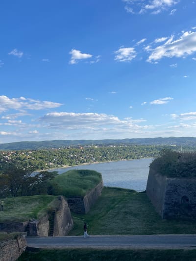 The image presents a panoramic outdoor view captured from a high vantage point, strongly resembling a fortress. The scene overlooks a wide river and a distant town or city under a clear blue sky dotted with scattered white clouds.
In the foreground, to the right and bottom of the frame, are robust stone walls and grassy earthworks, indicative of historical fortifications like the Petrovaradin Fortress. A paved pathway runs along these structures. A single person is visible on this path, standing near the stone walls, dressed in a dark top and light-colored pants, appearing to gaze out over the landscape.
Beyond the foreground structures, a broad river flows, its surface reflecting the bright daylight. On the opposite bank, a densely developed area with numerous buildings and lush green trees stretches towards the horizon, eventually meeting distant hills that fade into a light haze. The weather appears bright and sunny, suggesting a clear day, likely midday or early afternoon, offering excellent visibility across the expansive view. There is no visible text in the image.