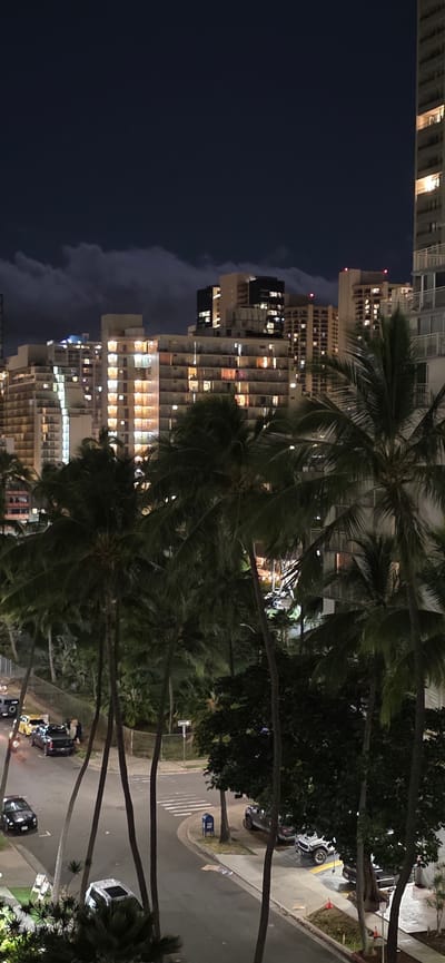 The image depicts a nighttime scene in East Honolulu, United States of America, dominated by a dense cluster of palm trees in the foreground, with tall buildings illuminated in the background. The sky is dark, with some cloudy formations. In the middle ground, a street curves, with several parked cars, including a black SUV, a yellow sedan, and a white SUV. A pedestrian crossing is visible on the street. A blue mailbox stands on the sidewalk near the intersection. The buildings are multi-story structures with many windows, some of which are lit, indicating occupancy. The overall atmosphere is urban and nocturnal, with the palm trees providing a tropical element to the cityscape.