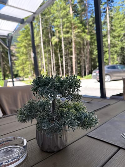 A close-up shot shows a small, artificial potted plant on a wooden table at an outdoor cafe. The plant is dark green with a dusty texture. To the left of the plant is a clear glass ashtray with blue lettering. Behind the table, a blurry background shows trees, a car, and a white canopy structure. The scene appears to be in Panichishte, Bulgaria, given the context of the location provided for the image.