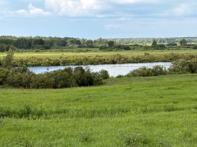 This is a landscape photograph taken in the city of Kamenka, Russia. The image depicts a wide, calm river flowing through a rural area. The riverbanks are lined with dense green bushes and trees. In the foreground, a vast expanse of lush green grass covers a gentle slope. The background features a dense forest that extends to the horizon, with a cloudy sky overhead. The overall scene is natural and serene.
