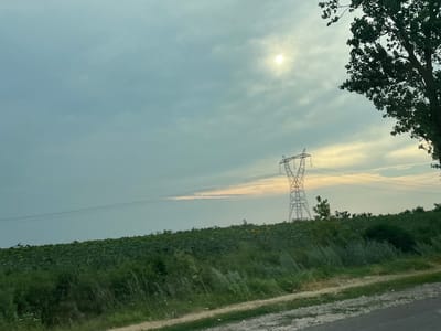 A rural landscape under a cloudy sky features a distant transmission tower and a large tree in the foreground. The sky is mostly overcast, with the sun peeking through in the upper right quadrant, casting a hazy light. A vast field of green vegetation, possibly sunflowers given the small yellow dots visible in the crop, stretches across the middle ground. Several thin power lines are strung across the sky, connecting to the transmission tower. A dirt road or path runs along the bottom of the frame, bordered by rough vegetation. The scene suggests a late afternoon or early evening setting, possibly before a storm, given the diffused light and heavy clouds. No people or specific activities are depicted. The overall mood is serene and natural, with a hint of industrial presence from the power lines and tower.