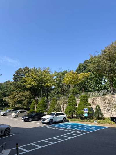 This image depicts an outdoor asphalt parking lot on a clear, sunny day, located in the city of 서대문구, South Korea. The upper half of the frame is dominated by a clear blue sky.
The parking lot features marked spaces, with five vehicles partially or fully visible. From left to right in the foreground, a silver or light grey vehicle (only the front-left wheel and partial hood are visible) is parked. Further back, a silver sedan is parked, followed by a white compact car with a boxy design. Next to it is a black sedan. On the far right, a white Mercedes-Benz EQC electric SUV is parked in a clearly marked accessible parking space, painted blue with a white wheelchair symbol. An associated accessible parking sign (blue with white 'P' and wheelchair symbol) is mounted on a post beside this space.
The background consists of a dense line of trees, predominantly green, with some foliage displaying a yellowish-green hue indicative of late summer or early autumn. Below these taller trees, a stone retaining wall runs horizontally across the frame, topped by a dark metal fence with ornate detailing. In front of the wall, a row of six dark green, sculpted evergreen trees are evenly spaced. A dark lamppost with two luminaires is visible between two of these sculpted trees. No individuals are present in the scene.