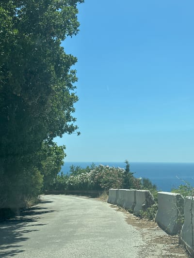 This media file depicts a scenic view of a road curving alongside dense green foliage, with the vast blue sea visible in the distance. The sky is a clear, bright blue, suggesting a sunny day. The time of day appears to be midday or early afternoon, given the bright light and the shadows cast by the trees on the asphalt road.

The scene is a road that seems to be on a hillside or cliff overlooking the sea. The road itself is paved and shows signs of wear. To the left of the road, there is a low, stone retaining wall with some vegetation growing on and around it. Beyond the wall, a thick canopy of lush green trees and bushes stretches out. Some of these bushes appear to be flowering, with clusters of white and pink blossoms.

The sea in the background is a deep blue, meeting the horizon with a soft gradient where it meets the sky. The sky is mostly cloudless, with a faint contrail from an aircraft visible in the upper left portion of the frame. The overall impression is one of a peaceful, natural setting, likely in a coastal region. The location context provided, Donji Katun, Montenegro, aligns with the visual cues of a Mediterranean or Adriatic coastal landscape. There is no visible text in the image. The image is oriented sideways.