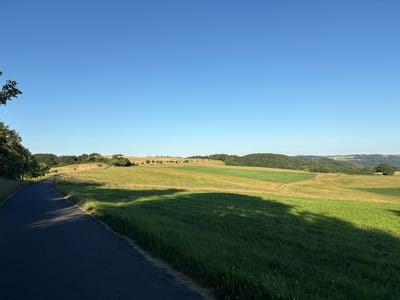 The image depicts a scenic landscape in Wershofen, Germany, characterized by rolling hills covered in lush green and golden grass. A paved pathway curves through the foreground, casting long shadows from the late afternoon sun. In the background, a dense forest marks the crest of a hill, with smaller trees and patches of cultivated fields interspersed across the landscape. The sky above is a clear, vibrant blue, indicative of fair weather. No people or animals are visible in the frame.