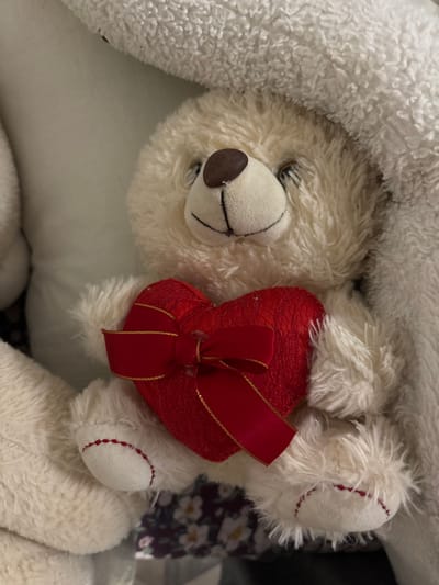 A close-up vertical image depicts a cream-colored, fluffy plush teddy bear seated indoors in the city of Krasny Klyuch, Russia. The teddy bear features a dark brown oval nose, a stitched black smile, and dark, reflective eyes. Its limbs and body are covered in soft, shaggy fabric. It is holding a textured, red, heart-shaped plush object against its chest. The heart is adorned with a red satin ribbon tied into a bow, accented with gold trim. Small white fibrous debris is visible on the red heart and ribbon. The teddy bear's visible paw pads have distinct red stitching. The bear's head and right shoulder are partially covered by a white, textured, possibly fleece-like fabric. In the lower background, a dark fabric with a white floral pattern is visible. No human subjects are present in the image.