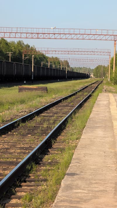 The image depicts a railway track bathed in the warm light of a setting or rising sun, casting long shadows across the scene. The perspective is angled, looking down the length of the track as it curves gently into the distance.

Dominating the left side of the frame are tall, red metal structures, likely supports for overhead power lines, stretching out of view. Beside them, a dark, tiered structure suggests a platform or embankment. Lush green grass grows along the sides of the railway, interspersed with gravel. The railway itself consists of weathered wooden ties and shining metal rails, with more grass and weeds pushing up between them.

To the right of the tracks is a concrete platform, its surface textured and showing signs of age. A faint shadow, perhaps from a person or object not fully visible, is cast upon the concrete. In the background, trees form a dense green line, suggesting a rural or semi-rural setting, consistent with the provided location context of Gorin, Russia.

The clear, pale blue sky suggests fair weather. The overall mood is tranquil and serene, emphasizing the quiet passage of time in a functional, industrial landscape softened by nature. There is no visible text in the image.