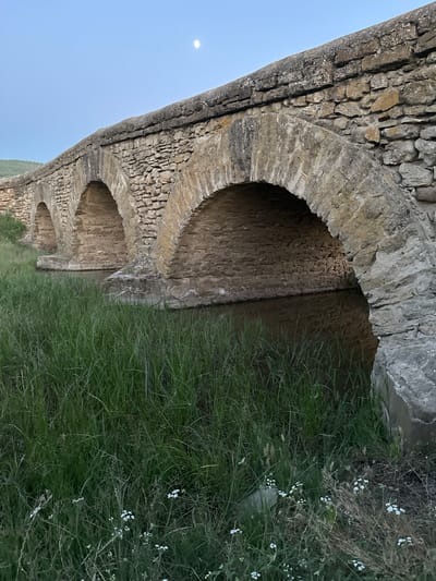 The image depicts an ancient stone bridge with multiple arches, viewed from below and at an angle. The bridge is constructed from rough-hewn, large stones that have weathered over time, giving them a textured and aged appearance. Several arches are visible, with the one closest to the foreground being the largest and most distinct. The interior of the arches reveals the rough, earthy texture of the bridge's construction material.

To the right of the bridge, lush green grass and some small white wildflowers are growing, suggesting an outdoor, natural setting. The grass appears dense and slightly overgrown, indicating a rural or uncultivated area. A faint moon or sun is visible in the clear, light blue sky on the left side of the image. The lighting suggests it might be early morning or late evening, due to the soft illumination and the presence of the celestial body.

The scene conveys a sense of history and tranquility. The weathered stone and the surrounding nature evoke a feeling of timelessness. There are no people or specific activities taking place; the focus is on the structure of the bridge and its integration with the natural environment. The location context provided is Filipeni, Moldova, which adds a geographical element to the understanding of the scene. No text is visible in the image.