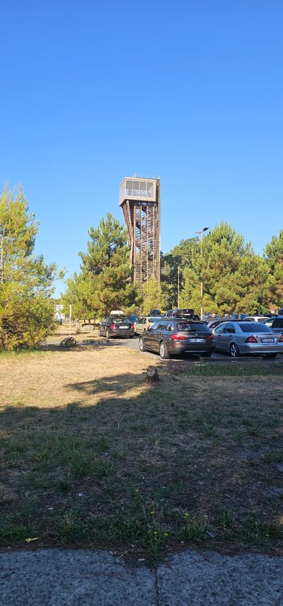 The image captures a clear, sunny day in Cestas, France, focused on a unique observation tower with a wooden lattice structure supporting a glass-enclosed top. The tower stands tall amidst a backdrop of green pine trees and a vibrant blue sky. In the foreground, a parking lot is visible, filled with several cars, including a dark gray BMW wagon with a roof box. The ground is a mix of dry grass and gravel, with scattered small yellow wildflowers and cigarette butts. The perspective suggests the photo was taken from a slightly elevated position, looking towards the tower and parking area.