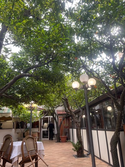 The image captures an outdoor dining courtyard or patio within Sorrento, Italy. The scene is dominated by a dense canopy of lush green citrus trees, specifically identified as orange trees, with numerous orange fruits visible amongst the leaves. The ground is paved with terracotta-colored tiles. In the foreground, two empty tables, each draped with a white tablecloth and flanked by wicker-backed chairs, are positioned on the left. A lone individual, dressed in dark clothing, is observed entering a white-framed doorway of a building on the mid-left side. This building section includes a light-colored awning. To the right of the individual, a traditional street lamp with two illuminated globe fixtures stands. Further right and centrally located, another lamppost with three illuminated globe fixtures rises, surrounded by tree trunks, one of which is adorned with string lights. On the far right, an enclosed structure featuring large glass panels and white lower sections, possibly an extended dining area or conservatory, is visible. The sky, partially visible through the tree canopy, is bright and overcast.