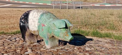 An outdoor, medium shot captures a weathered, statue of a pig in Oropesa, Spain. The statue is predominantly painted a faded green with patches of white and black on its rear. It rests on a bed of small, rough stones, with dry, straw-like grass surrounding it. In the background, a paved area with red and white curbs suggests a road or track, possibly a race circuit. Several metal poles with grey rectangular panels are also visible in the background, along with a hazy, sunlit sky. The scene is set during the daytime, under bright, natural light, casting a shadow of the pig statue onto the stony ground. There are no people or animals present in the image.