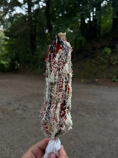 A close-up, outdoor shot depicts a cob of corn held in a hand. The corn is heavily dressed with layers of red sauce, dark-colored sauce, and shredded white cheese. A white napkin is wrapped around the base of the corn, held by a right hand. The background shows a blurry scene with trees and a path covered in gravel. The location is likely Santa Tecla, El Salvador.
