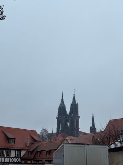 The image displays an overcast daytime view of Meissen, Germany, with the Meissen Cathedral prominently featured on the Schlossberg hill. The sky occupies the upper two-thirds of the frame, appearing uniformly light grey.
In the lower foreground, a collection of traditional European buildings with red-tiled roofs is visible. To the left, a multi-story half-timbered house with white infill and dark wooden beams is present, displaying multi-paned windows and a dormer on its roof. In the lower right, a large, light-colored commercial truck, possibly white or light grey, is parked with its rear or side visible, partially obstructing the view of other structures. A dark, ornate street lamp extends into the frame to the right of the truck. Small patches of snow or frost are visible on some of the closer rooftops.
Above these foreground structures, the Meissen Cathedral (Meißner Dom) rises distinctly. It is a large, dark Gothic structure with two prominent, highly detailed spired towers topped with finials, standing against the lighter sky. A smaller spire with a green conical roof is situated to the left of the main cathedral structure, nestled among other red roofs. Another slender, dark spire is visible to the right of the cathedral's main body, extending above the residential rooftops. Bare tree branches with small, dark clusters of berries or buds are visible in the upper left corner, partially entering the frame from above. No individuals are depicted within the scene.