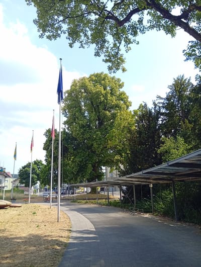 The image depicts a paved pathway leading towards a covered area with multiple parking spots, suggesting an outdoor public space or parking lot. Several flags are displayed on flagpoles along the pathway, with one flag being predominantly blue and yellow, possibly representing the European Union, and another being red and white. A lone individual on a bicycle is visible riding on the pathway. The environment is characterized by lush green trees and a clear sky with some clouds. In the background, buildings and more trees are visible, indicating an urban or suburban setting. The scene appears to be a bright, sunny day. The location is identified as Langenthal, Switzerland.