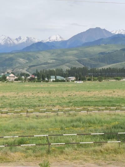 The image depicts a scenic view of the landscape in Dolan, Kazakhstan. In the foreground, a weathered metal fence with alternating dark brown and white horizontal bars runs across the frame, separating a grassy field from the viewer. The field is predominantly covered in green grass with patches of dry, yellowed vegetation and sparse yellow wildflowers. Behind the field, a line of tall, slender trees stands as a natural barrier, with a few scattered houses and buildings nestled amongst them. Further in the background, rolling green hills rise, their slopes textured with undulations and dotted with small clusters of trees and vegetation. Dominating the distant horizon are majestic snow-capped mountains, their rugged peaks set against a cloudy, pale sky. The overall scene conveys a sense of rural tranquility and natural beauty.